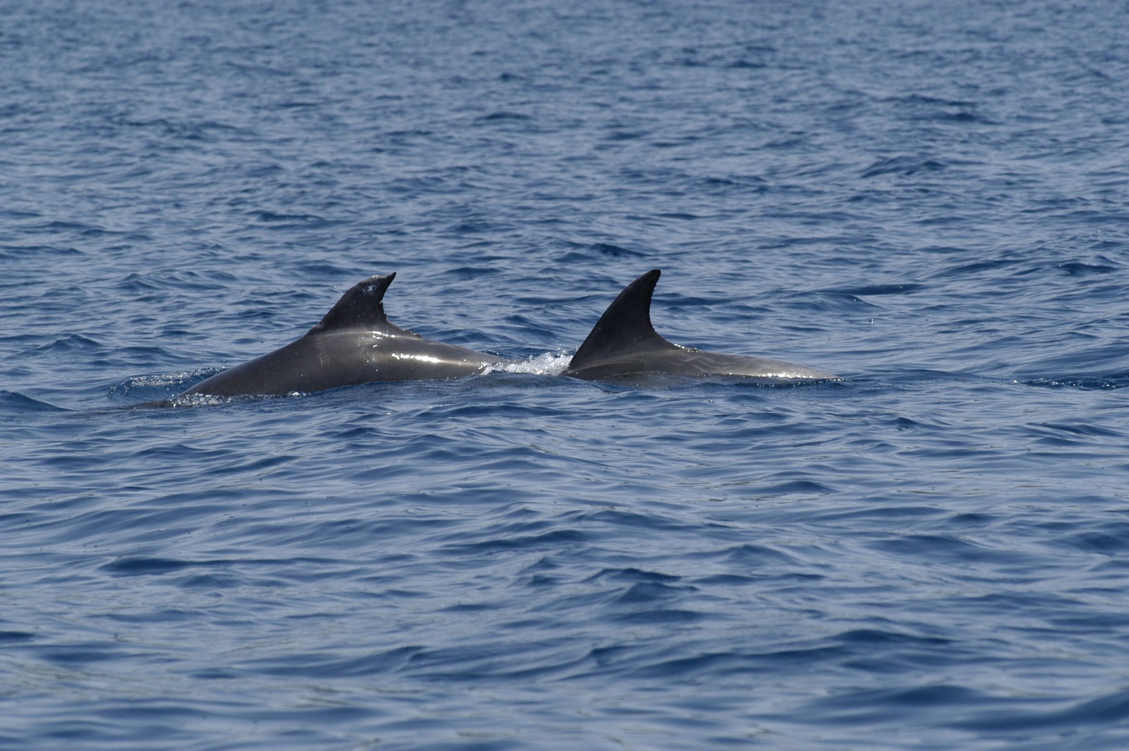 Photo 1854