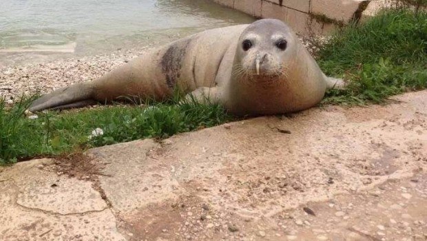 Photo 2752