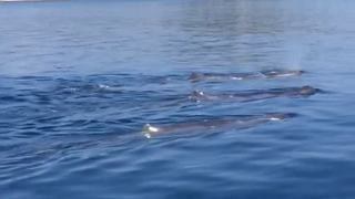 Photo 2783