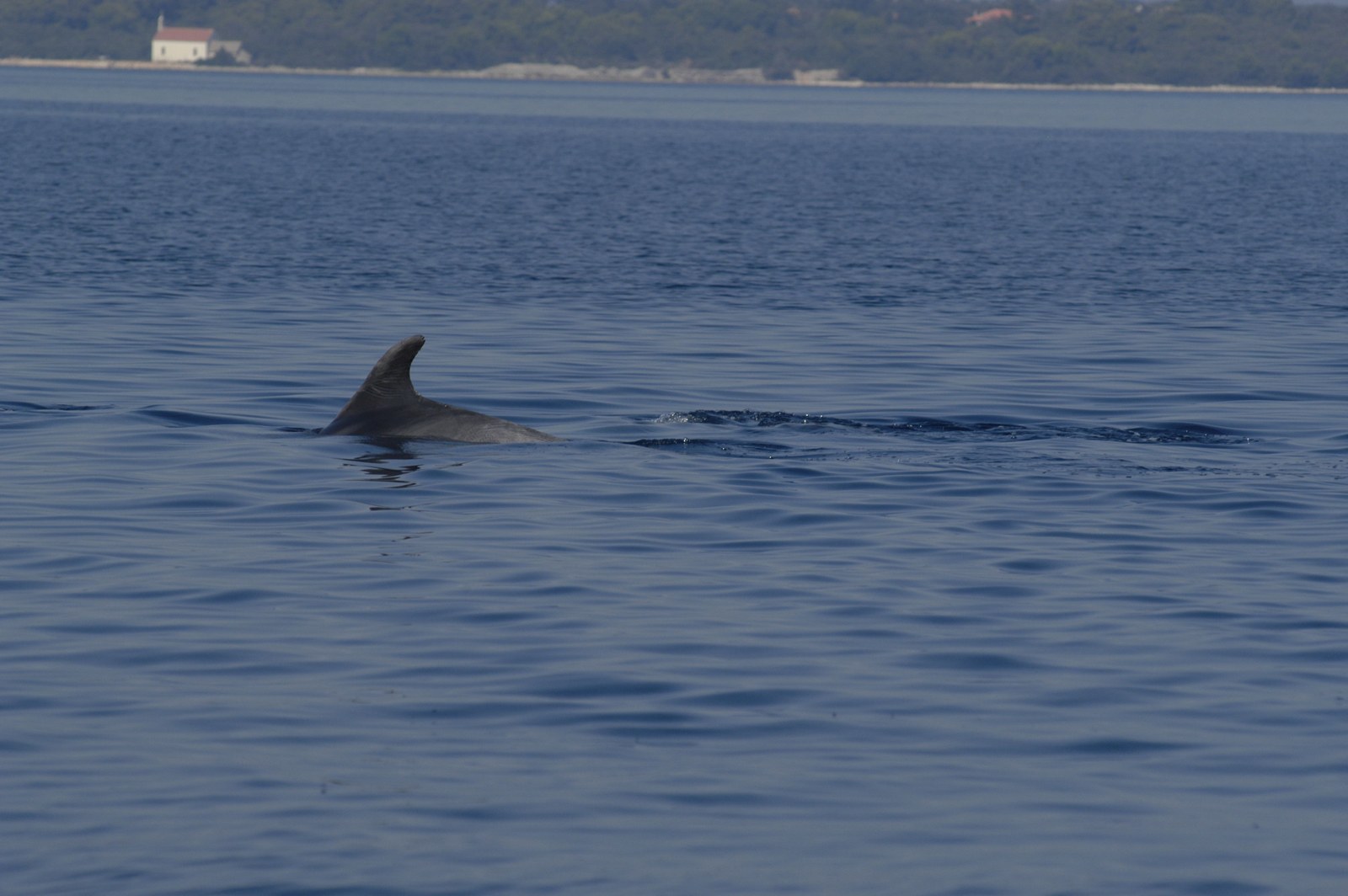 Photo 3072