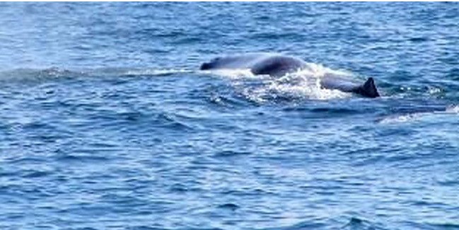 Photo 3305