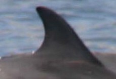 Photo 3399
