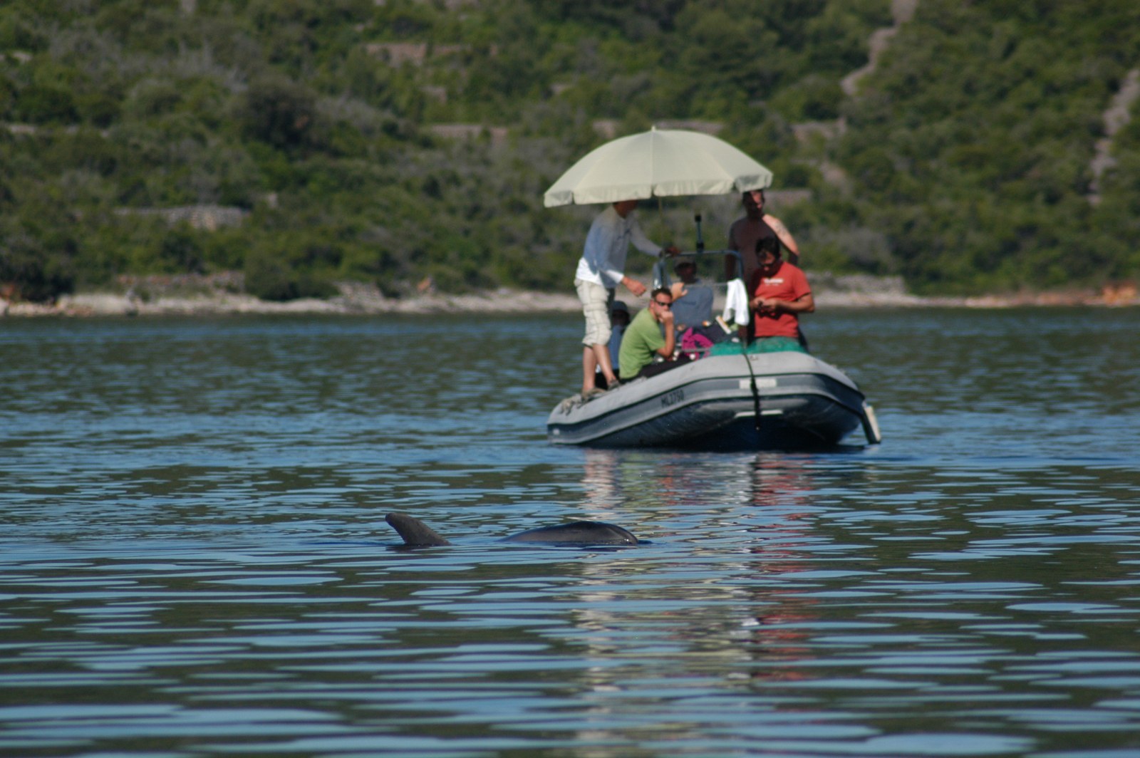 Photo 43