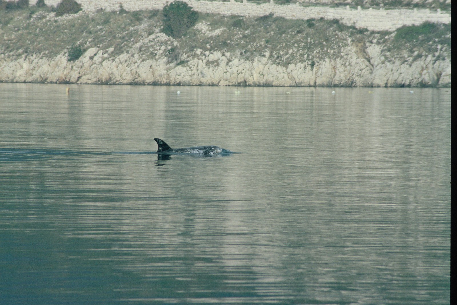Photo 48