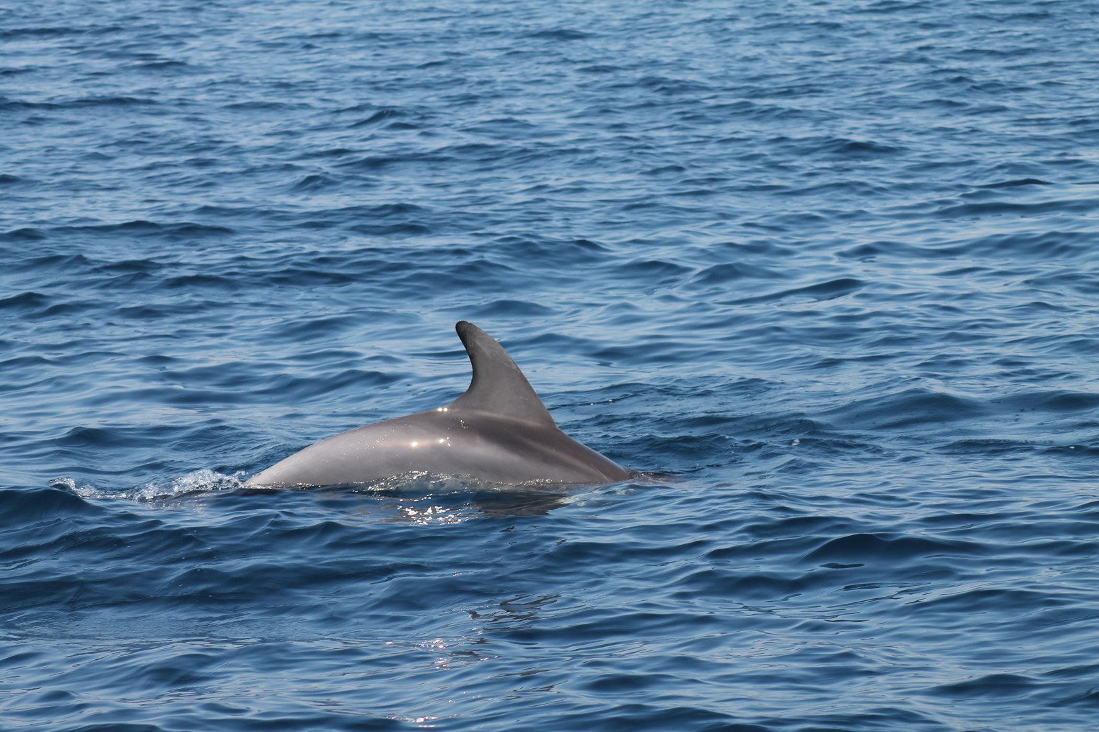 Photo 719